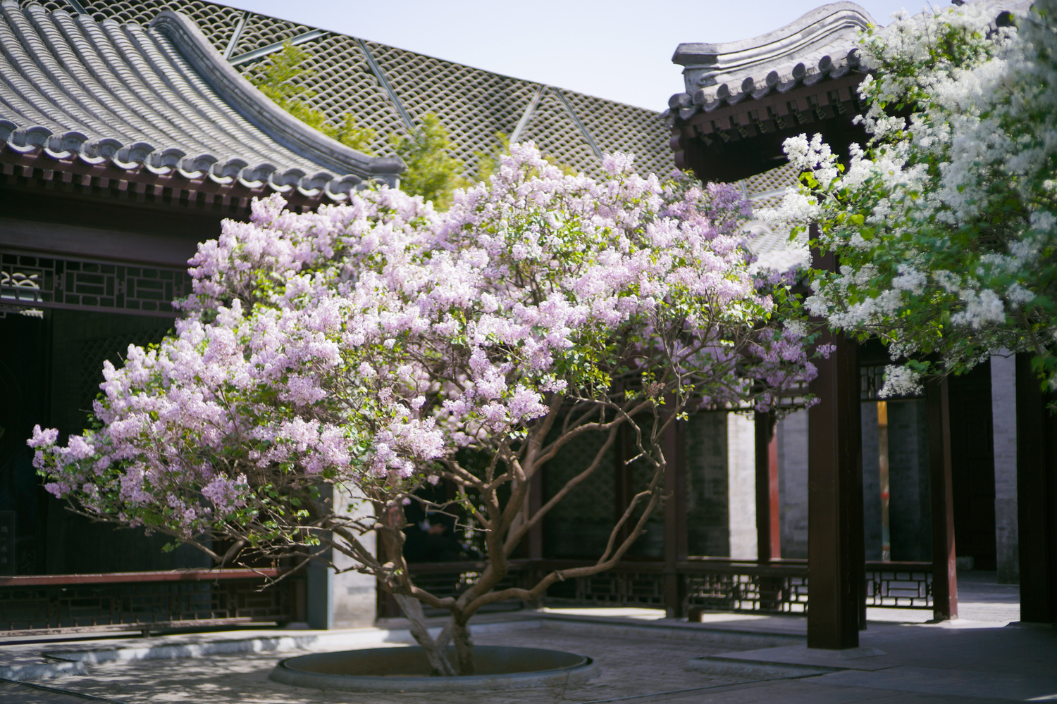 homelife-4