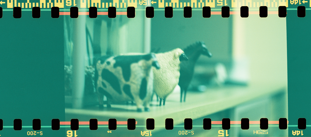 homelife-5