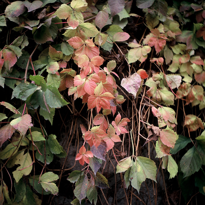 homelife-7