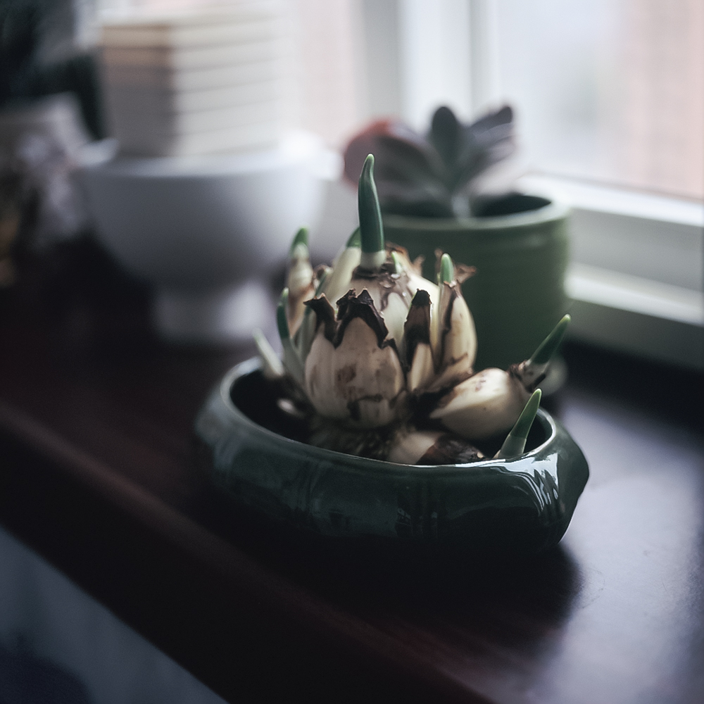 homelife-7