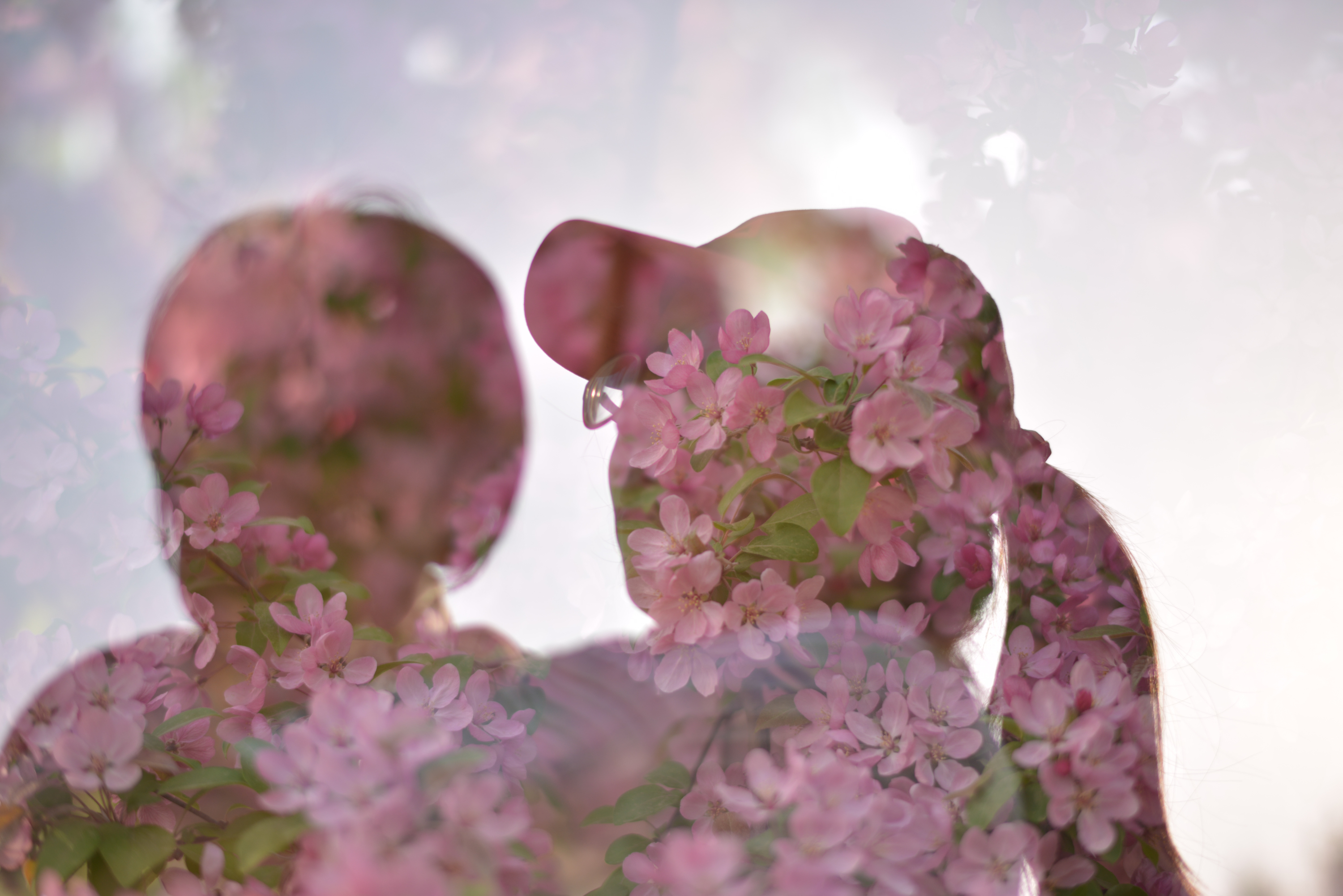 homelife-8
