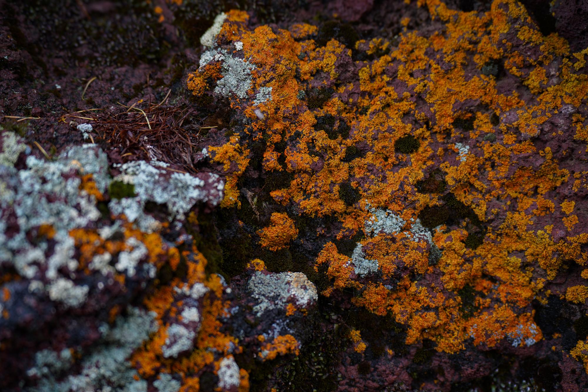 pointandshot-14