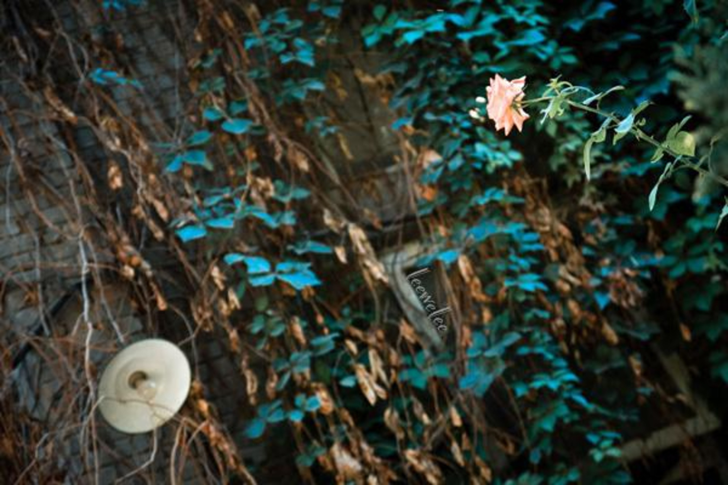 pointandshot-2