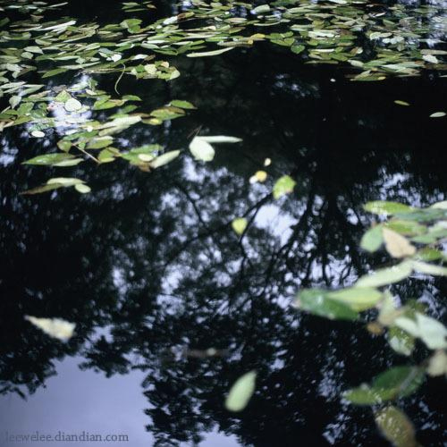 pointandshot-3