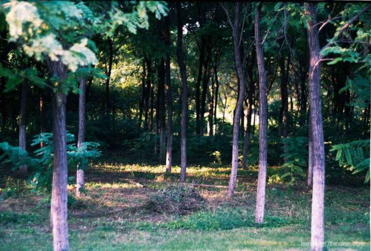 pointandshot-5